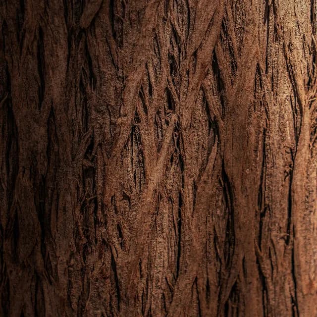 Texture gỗ óc chó